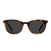 Occhiali da Sole Tondi da Uomo in Acetato - FE-A115 | Foureyes Collection