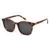 Occhiali da Sole Tondi da Donna in Acetato - FE-A119 | Foureyes Collection