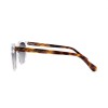 Occhiali da Sole Cat-Eye da Donna in Acetato - FE-A120 | Foureyes Collection