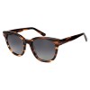 Occhiali da Sole Quadrati Arrotondati da Uomo in Acetato - FE-A121 | Foureyes Collection