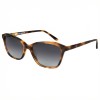 Occhiali da Sole Cat-Eye da Donna in Acetato - FE-A136 | Foureyes Collection