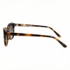Occhiali da Sole Cat-Eye da Donna in Acetato - FE-A136 | Foureyes Collection