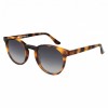 Occhiali da Sole Tondi da Donna in Acetato - FE-A137 | Foureyes Collection
